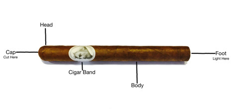 Cigar Diagram